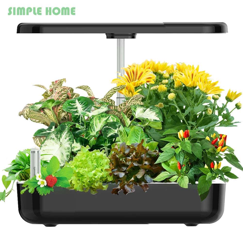 Hydroponic Indoor Plant Growing System - Zaey.shop