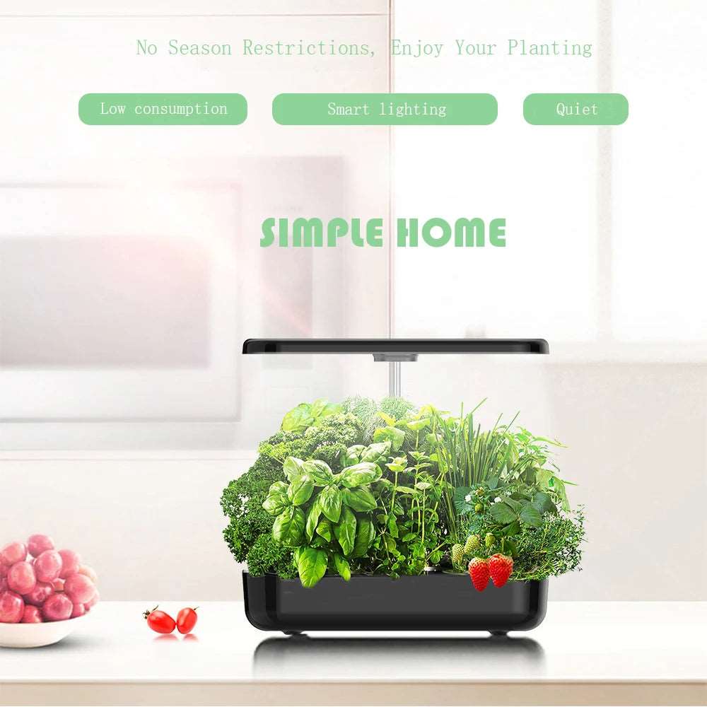 Hydroponic Indoor Plant Growing System - Zaey.shop