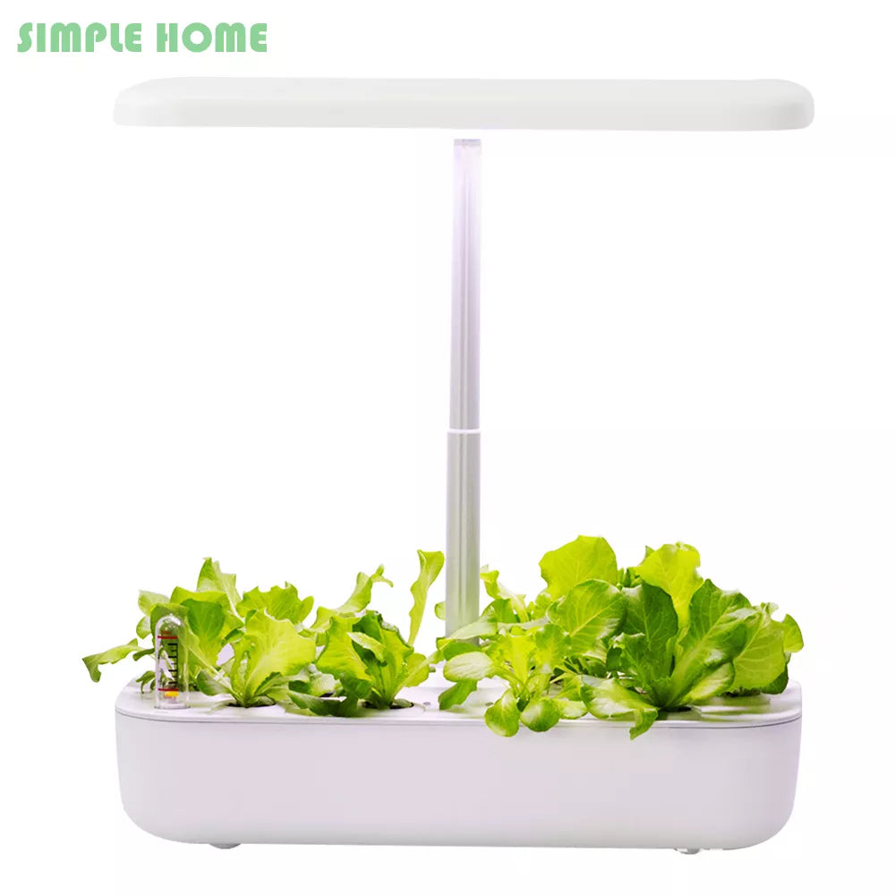 Hydroponic Indoor Plant Growing System - Zaey.shop