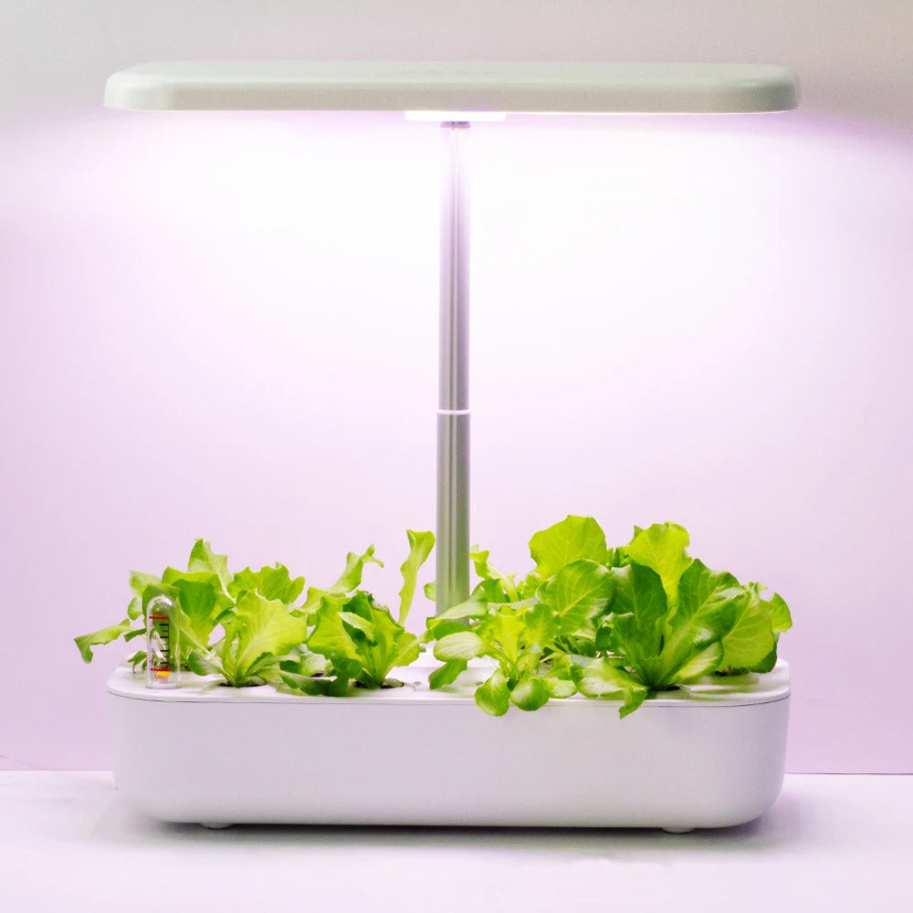 Hydroponic Indoor Plant Growing System - Zaey.shop