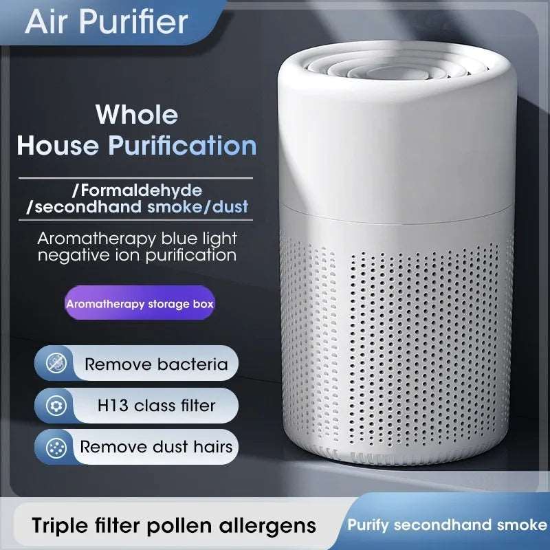 2-in-1 Deodorizing Air Purifier - Zaey.shop