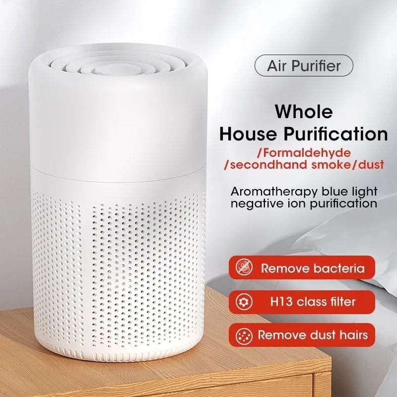 2-in-1 Deodorizing Air Purifier - Zaey.shop